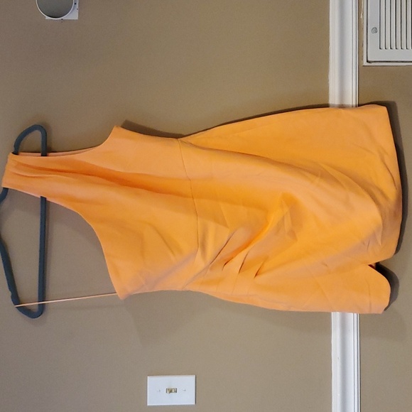 LIKELY Gonnella Dress In Birds Of Paradise Orange Size 14 NWT'S - Picture 4 of 14